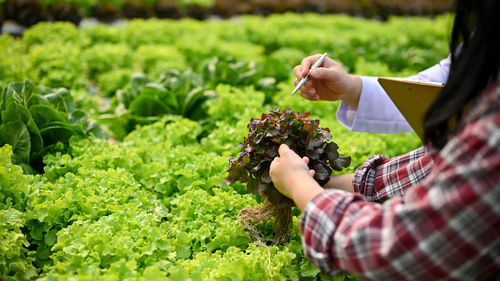 Midsection of woman holding plant