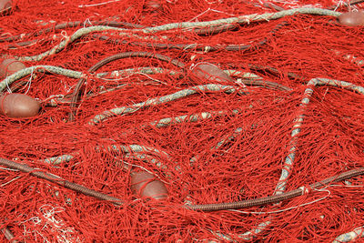 Full frame shot of red leaves