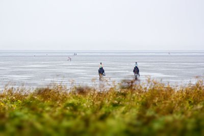 People on beach against clear sky