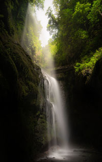 Scenic view of waterfall in forest