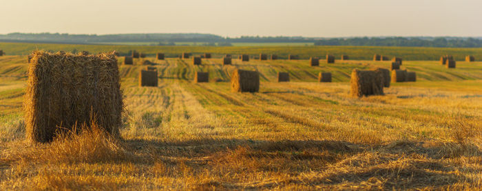 Hay bales on field against sky