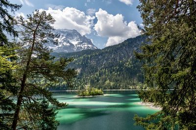 Scenic view of lake by trees against sky