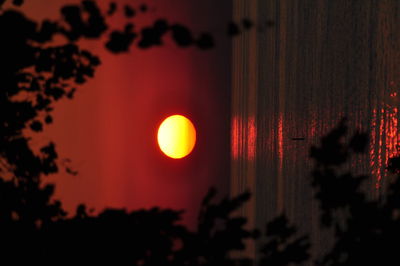 Close-up of silhouette trees against sky during sunset