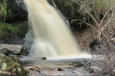 Scenic view of waterfall in forest