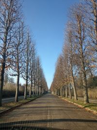 Empty road amidst trees against clear sky