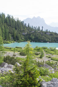 Good spot to pitch a tent, sorapiss lake in the dolomites