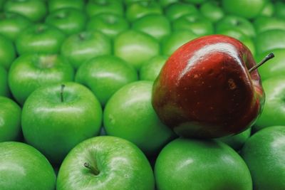 Full frame shot of apples