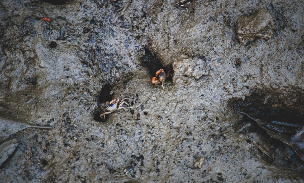 HIGH ANGLE VIEW OF ROCK FORMATION IN WATER