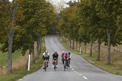 Cyclists on country road