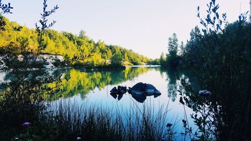 Scenic view of lake against clear sky