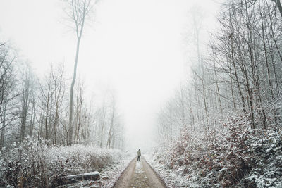 Rear view of man standing on road amidst frozen bare trees during winter