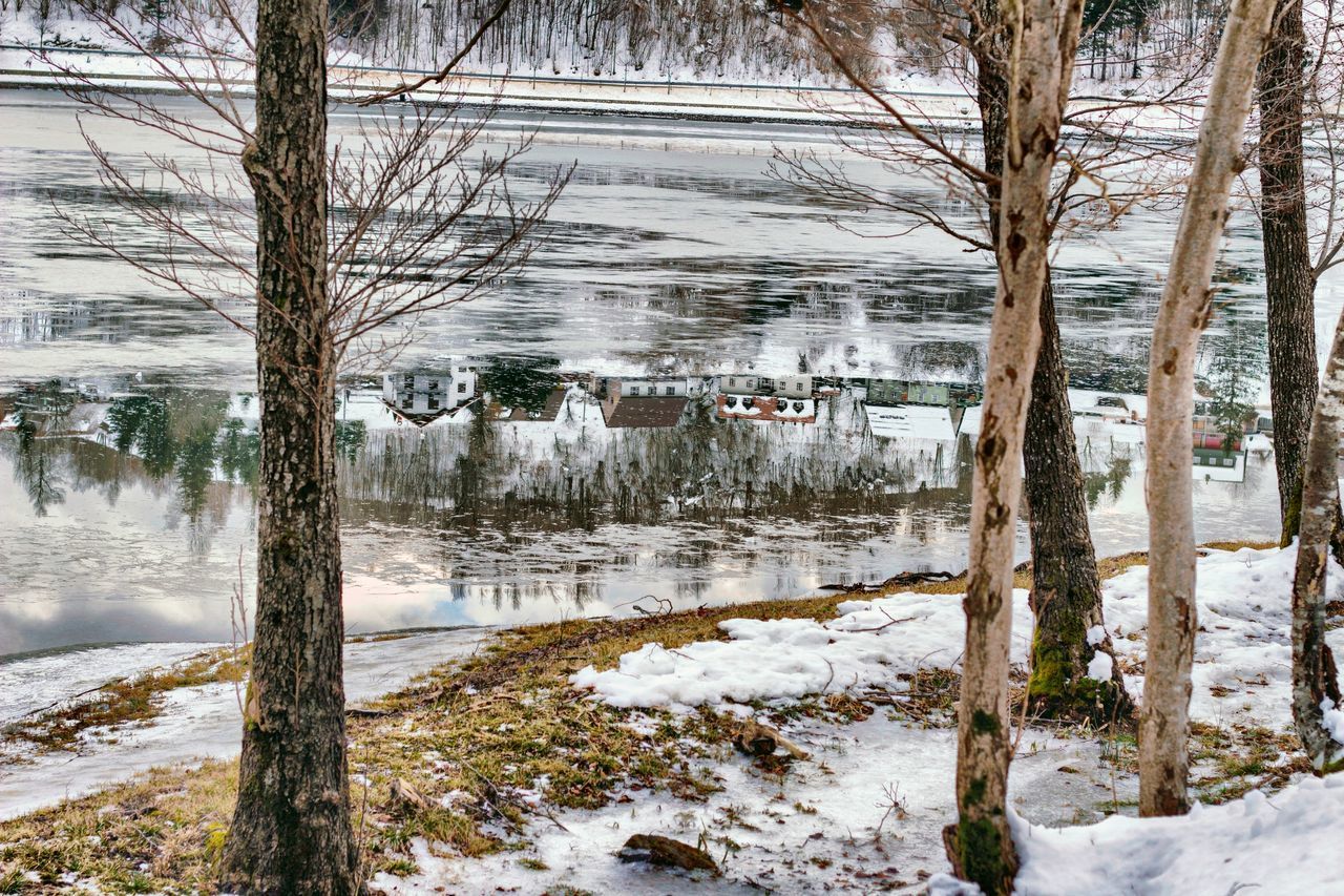 SCENIC VIEW OF FROZEN BARE TREES ON SNOW COVERED LAND