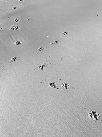 High angle view of footprints on beach