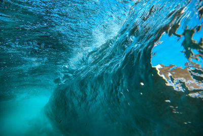 Close-up of swimming in sea