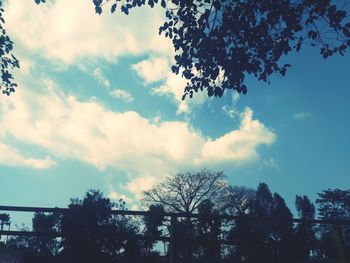 Low angle view of silhouette trees against sky