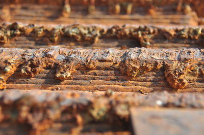 Close-up of weathered wood