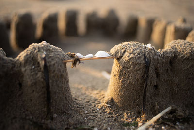 Close-up of sandcastle on beach