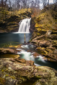 Waterfall in forest