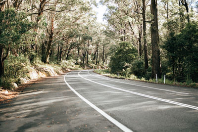 Road amidst trees in forest