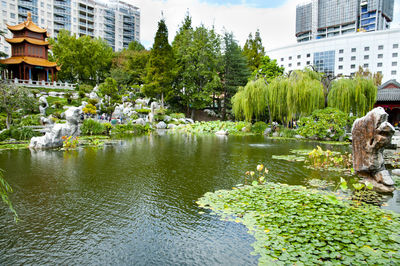 Scenic view of lake by buildings in city