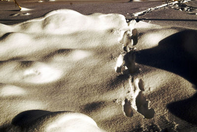 High angle view of shadow on sand