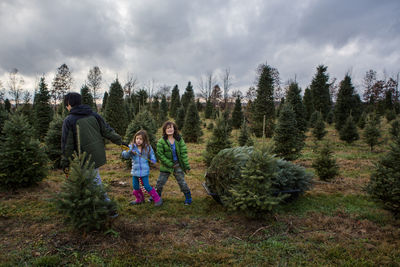 Rear view of father with children dragging pine tree in sled against cloudy sky at farm