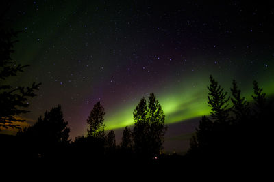 Low angle view of silhouette trees against sky at night