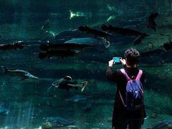 Rear view of woman standing in aquarium