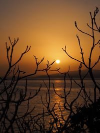 Silhouette bare tree by sea against sky during sunset