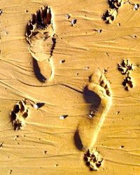 Close-up of wooden planks