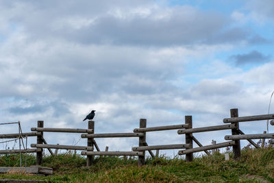 View of fence on field against sky