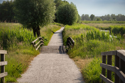 Small bridge in the polder park cronesteyn in the city of leiden, netherlands