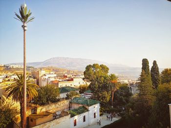 Trees and townscape against clear sky