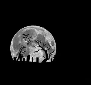 night