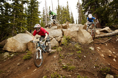 Athletes cycling on rocks in forest