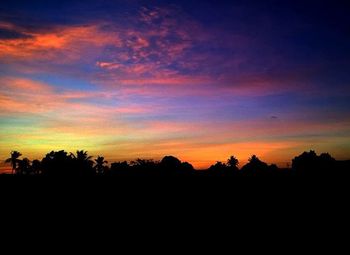 Silhouette of trees at sunset