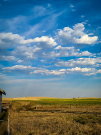 Scenic view of agricultural field against sky