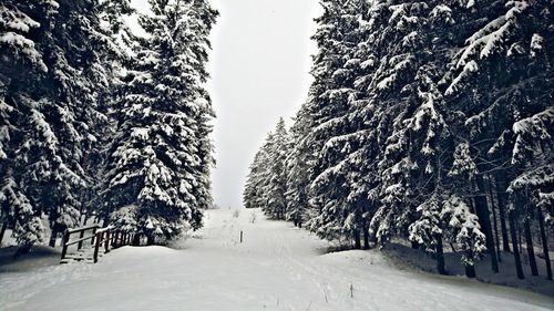 Trees on snow covered landscape against sky