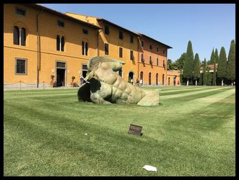 Dog in park against sky