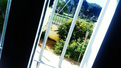 Low angle view of trees seen through window