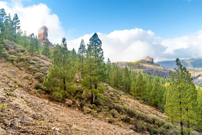 Panoramic view of landscape against sky