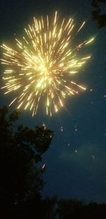 Low angle view of firework display at night