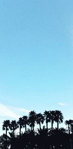 Low angle view of silhouette palm trees against clear blue sky