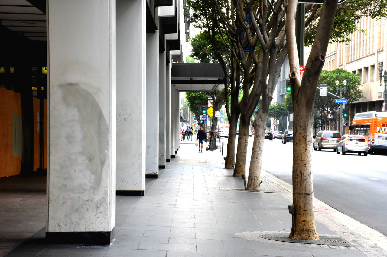 CITY STREET BY BUILDINGS