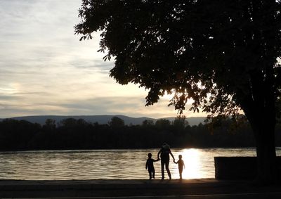 Silhouette friends on tree by lake against sky during sunset