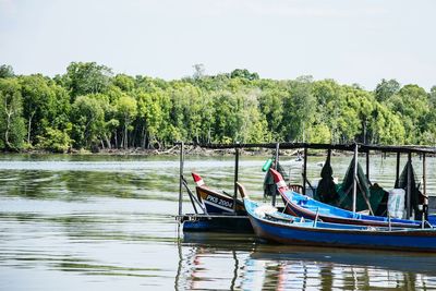 Boats moored in river with trees in background