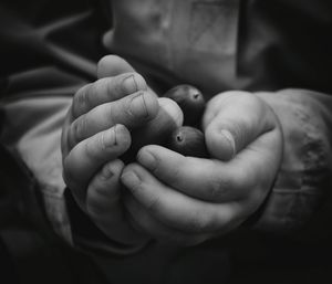 Midsection of person holding berries in cupped hands