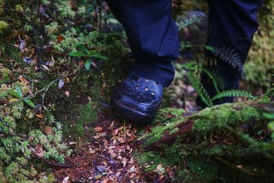 Low section of person standing on ground in forest