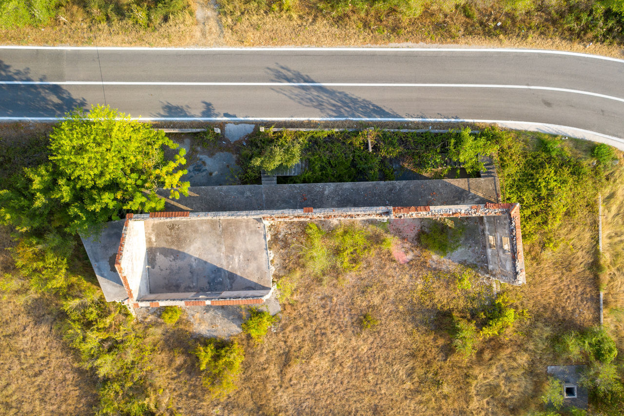 HIGH ANGLE VIEW OF PLANTS BY ROAD SIGN ON LAND