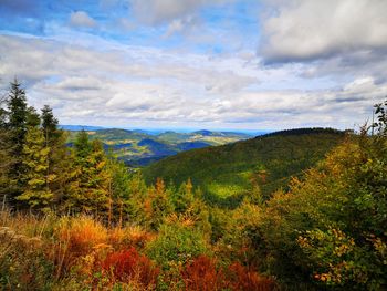 Scenic view of landscape against sky during autumn